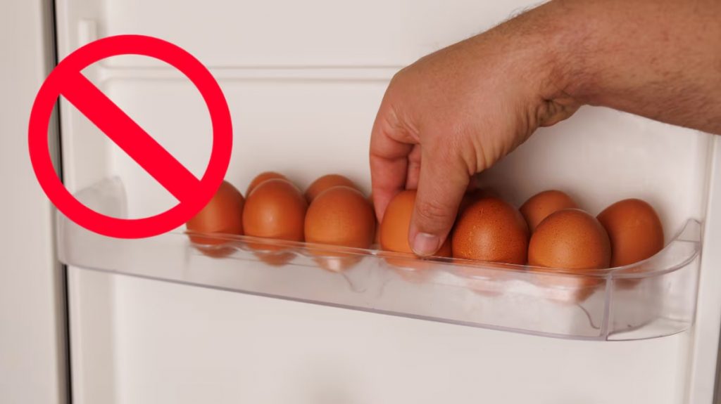 donde hay que poner los huevos para que duren mas foto adobe stock WYPU6IVXDNABRLSOB2S6IG5HBQ